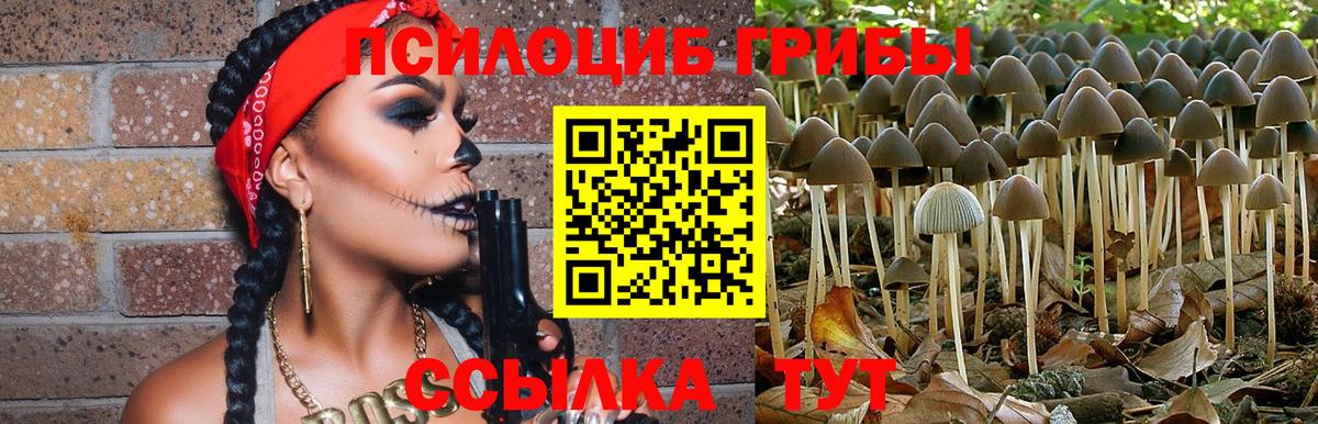 цена   Галлюциногенные грибы Psilocybe  Вход с VPN  Санкт-Петербург 